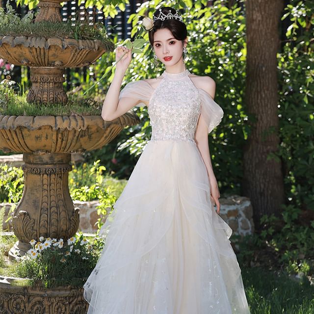 Sleeveless Cold Shoulder Sequin Panel Mesh A-Line Evening Gown