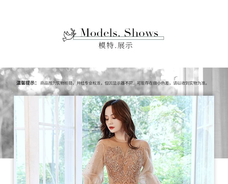 Long-Sleeve Sequin Mesh A-Line Evening Gown / Dress