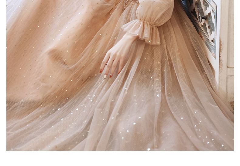 Long-Sleeve Sequin Mesh A-Line Evening Gown / Dress