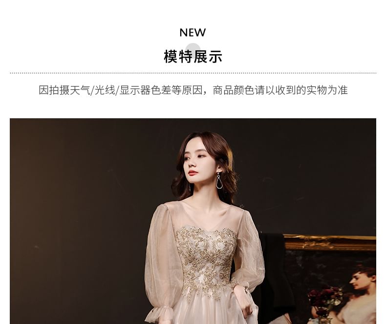 Long-Sleeve V-Neck Mesh A-Line Evening Gown / Dress