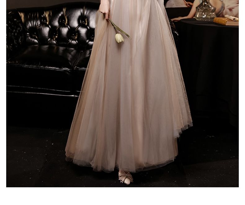 Long-Sleeve V-Neck Mesh A-Line Evening Gown / Dress