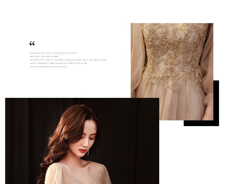 Long-Sleeve V-Neck Mesh A-Line Evening Gown / Dress