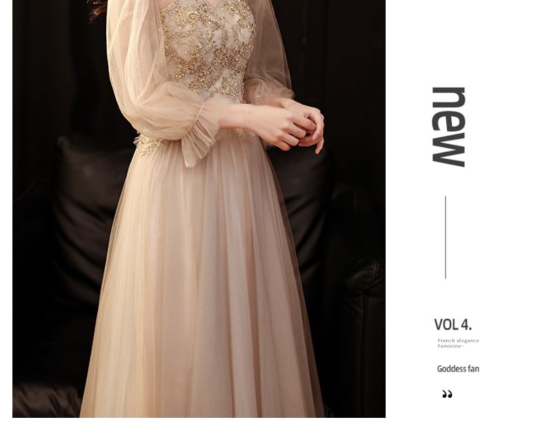Long-Sleeve V-Neck Mesh A-Line Evening Gown / Dress