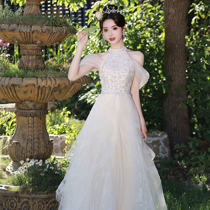 Sleeveless Cold Shoulder Sequin Panel Mesh A-Line Evening Gown